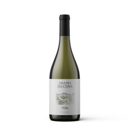 VINO BLANCO VOLTA D.O. RIBERA SACRA